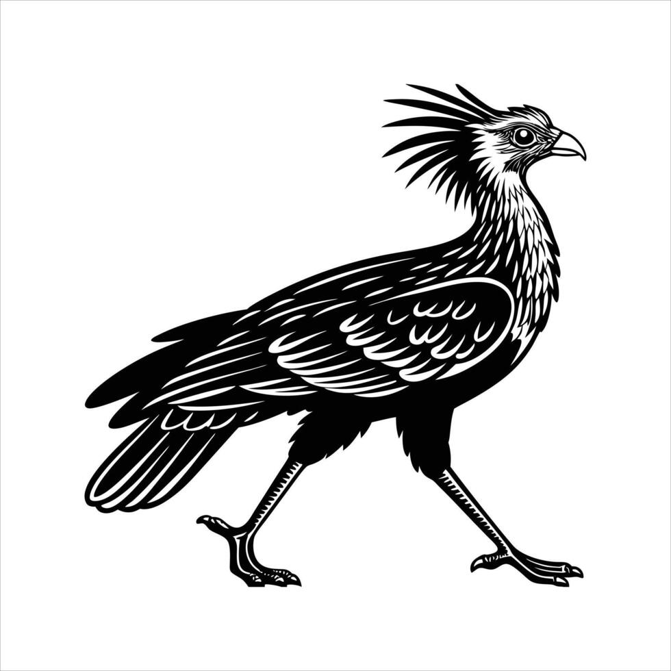 Secretary Bird Images vector