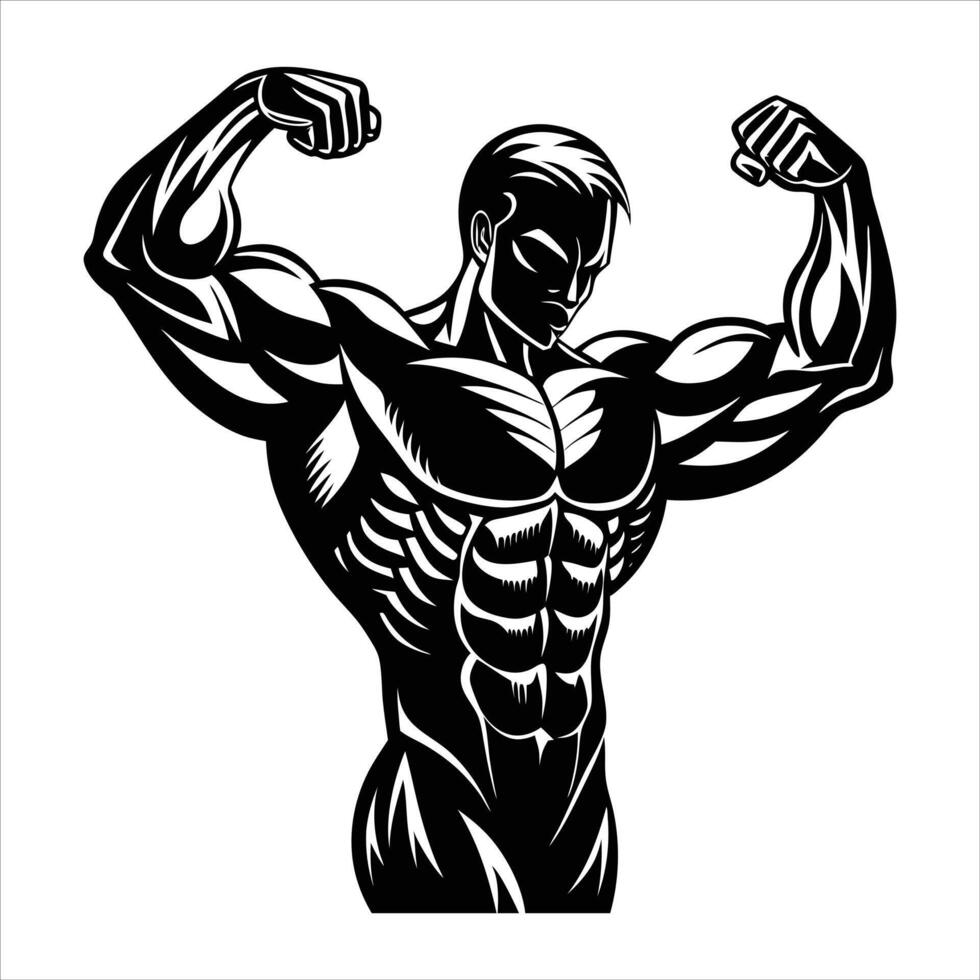 Muscle Anatomy Images vector