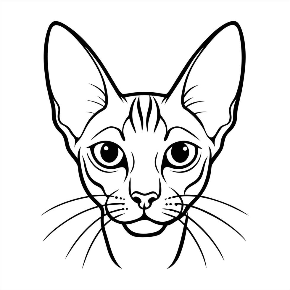 Cat Ears Whiskers Images vector