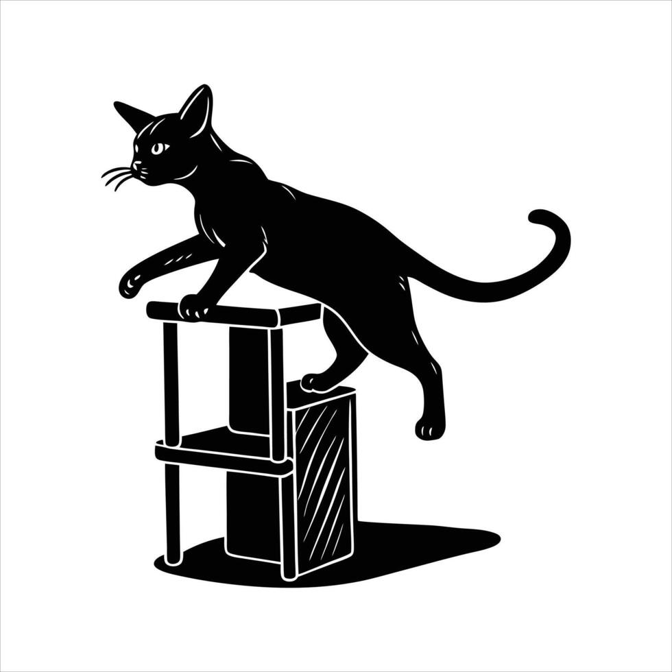 Abyssinian Cat Images. vector