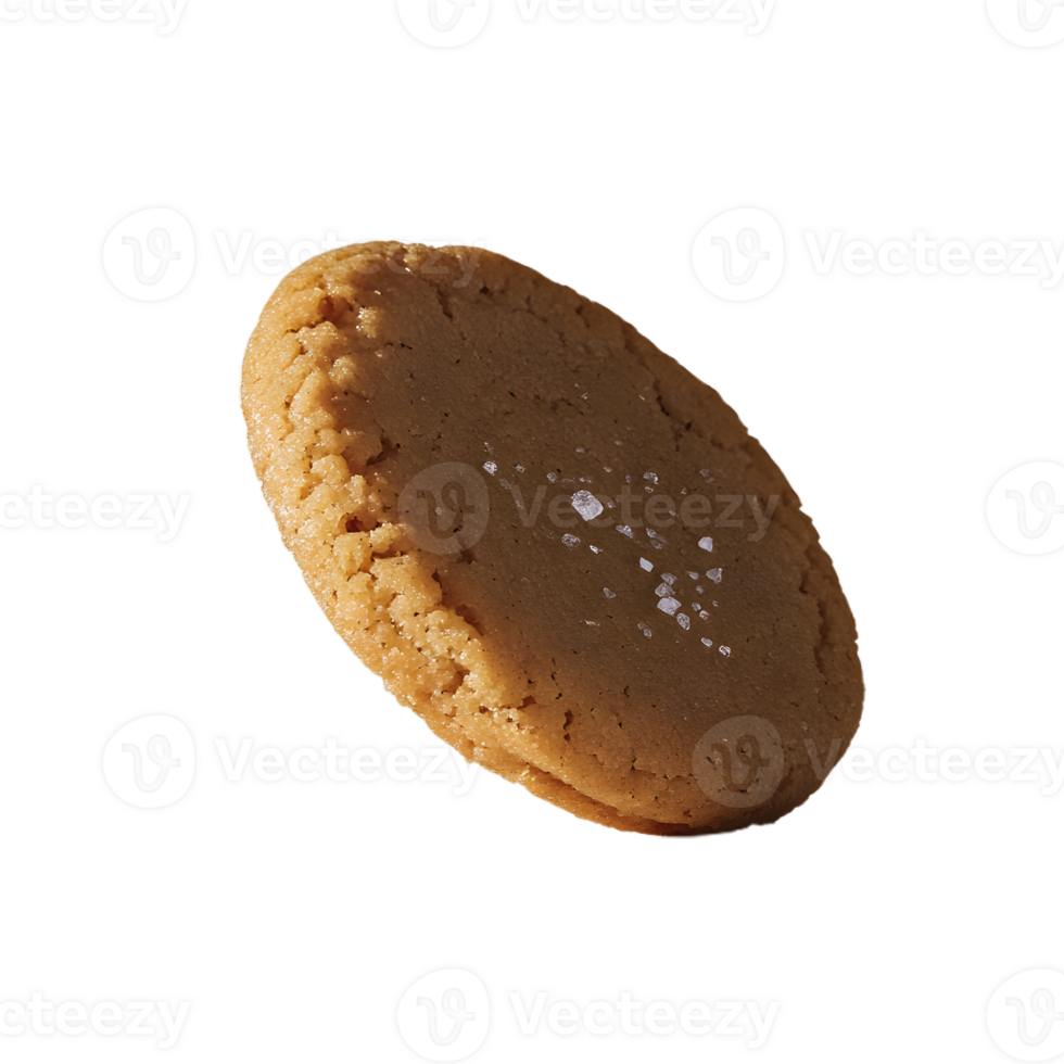 A Cookie with Salt Crystals on a Transparent Background png
