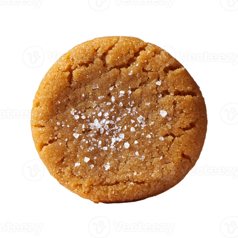 A Cookie with Salt on a Clear Background png