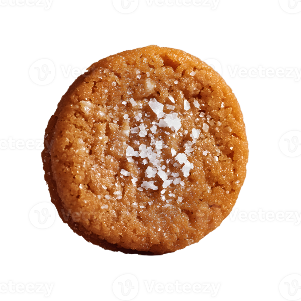 A Cookie with a Sprinkle of Salt on a Clear Background png