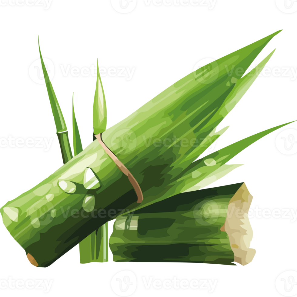 Green leaves of nature growth in summer icon isolated png