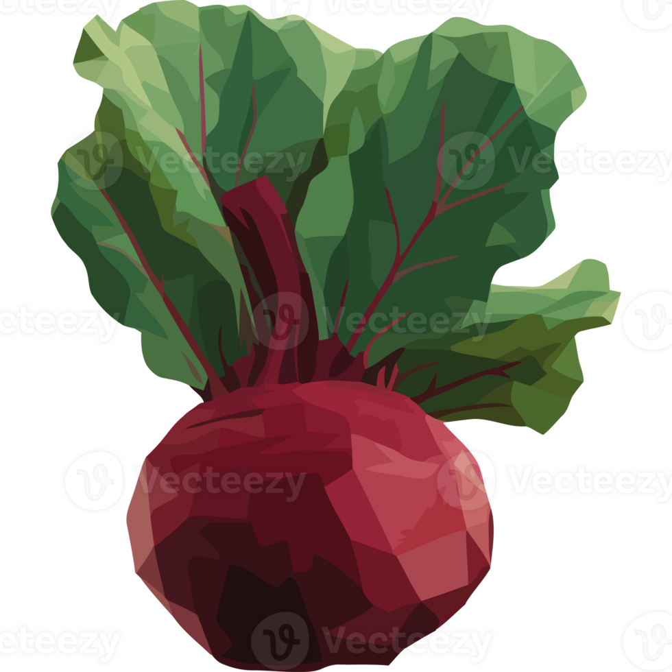 Fresh vegetarian common beetroot, healthy meal icon isolated png