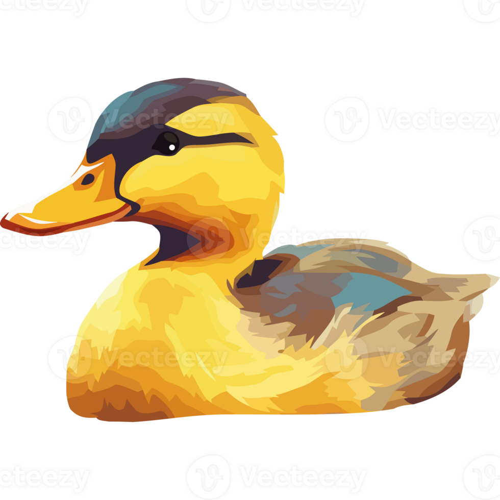 Cute yellow duckling quacks in nature pond icon isolated png