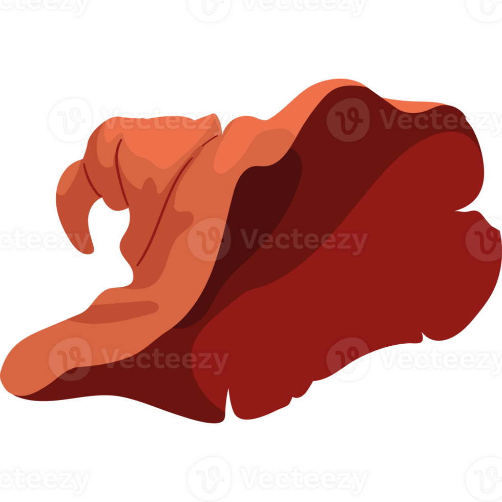 Halloween witch hat isolated illustration png