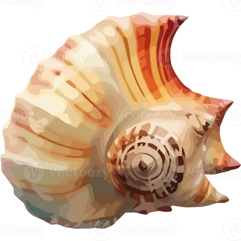 Summer seashells, nature decoration spiral icon isolated png