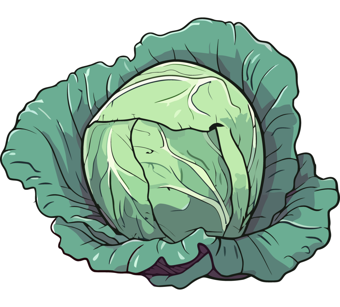 A cartoon cabbage icon isolated png