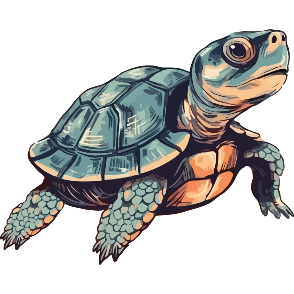 Slow turtle crawling, cute icon isolated png