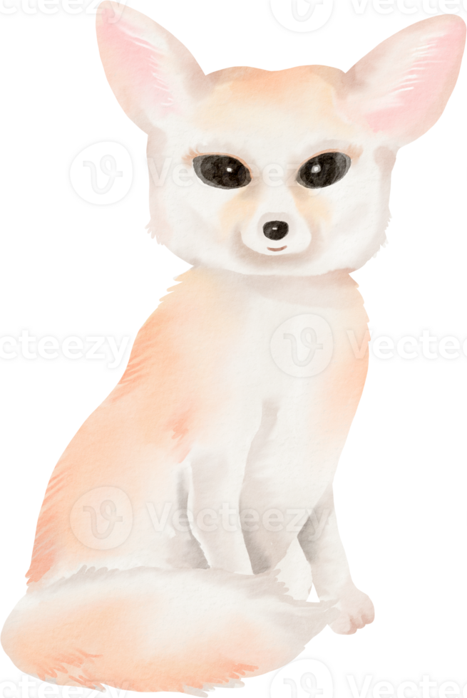 watercolor fennec fox png