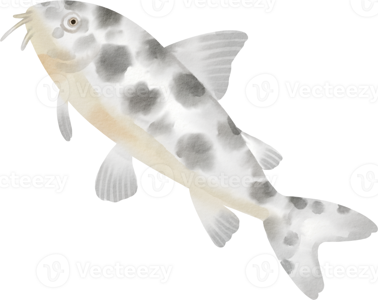 watercolor sea fish zebra png