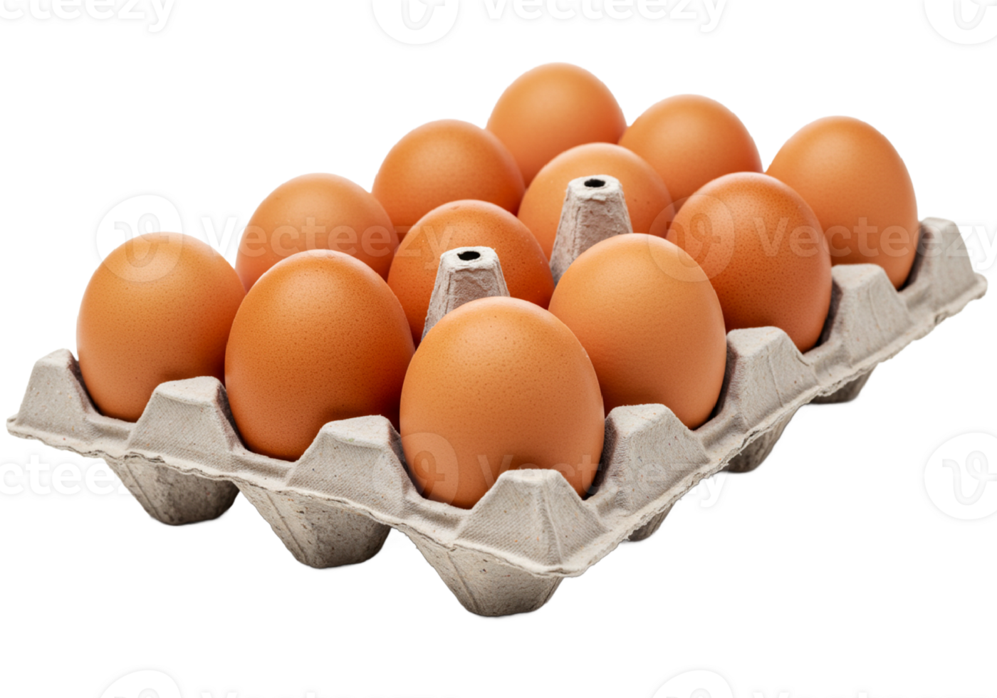 fresh chicken eggs on a white background png
