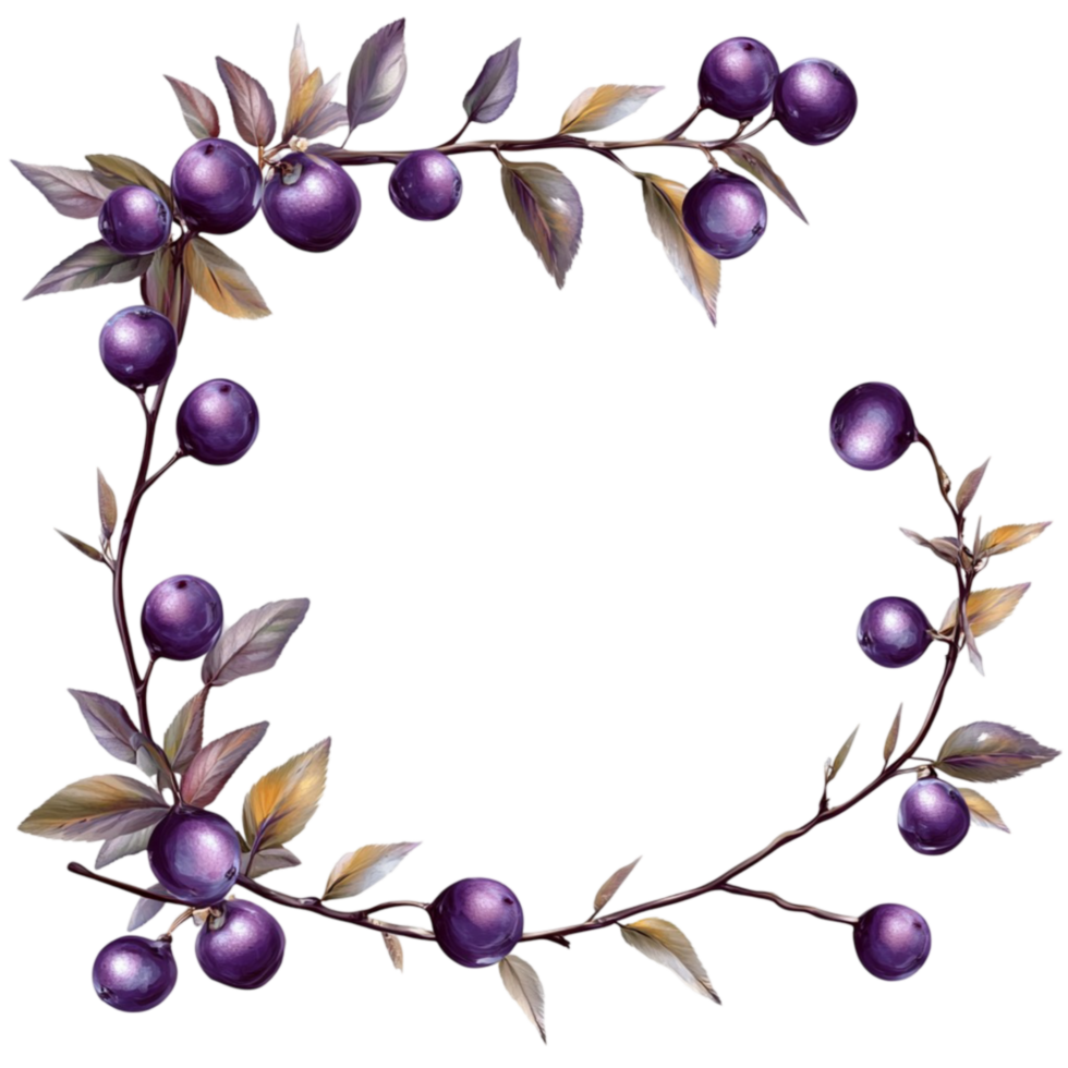 Purple Berries on a Branch png