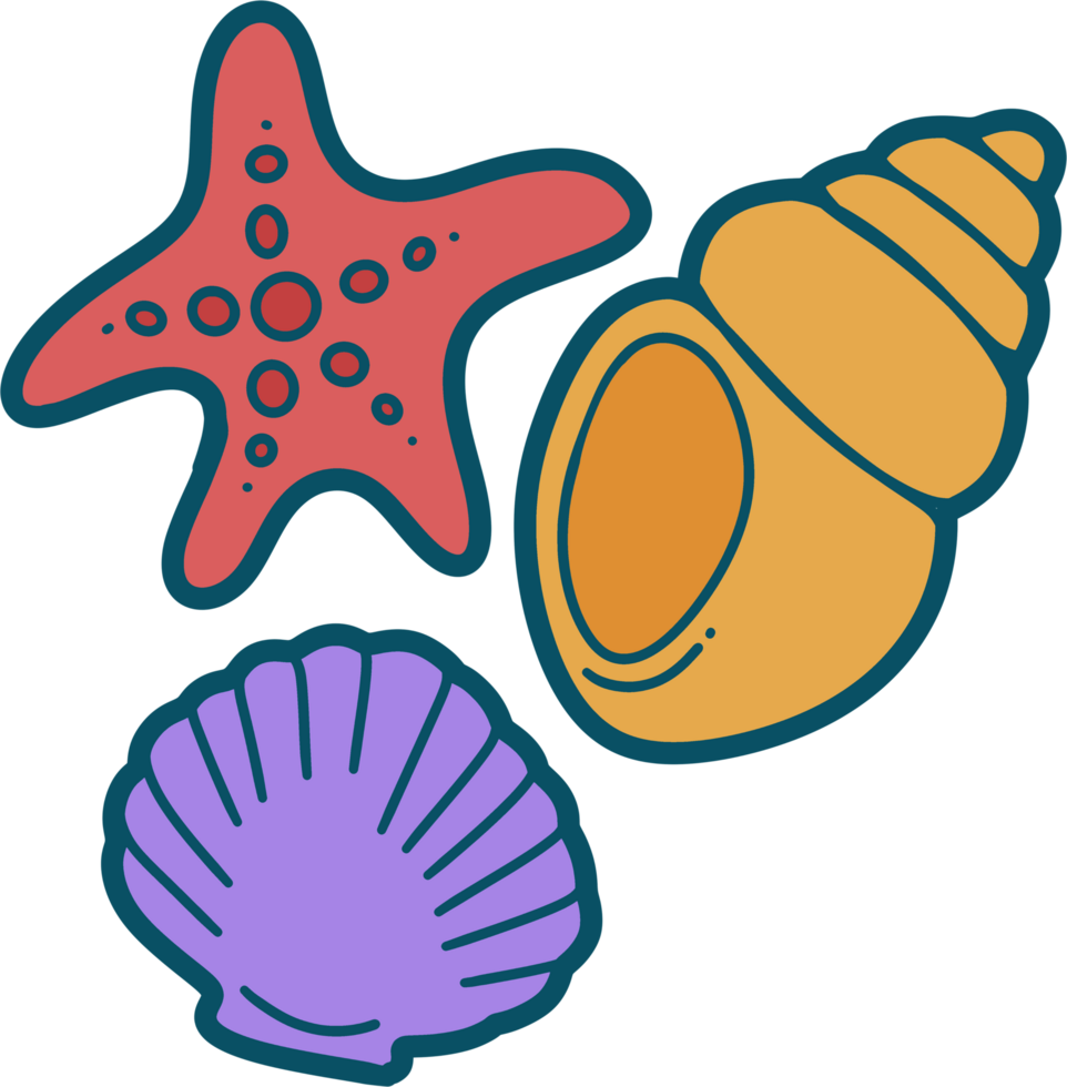 cute sea animal png