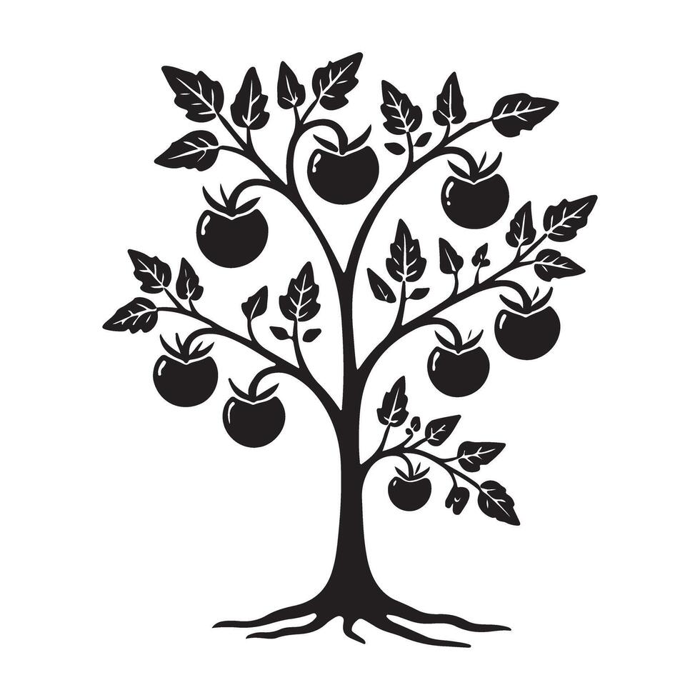 Tomato Plant Silhouette with Abundant Fruit vector