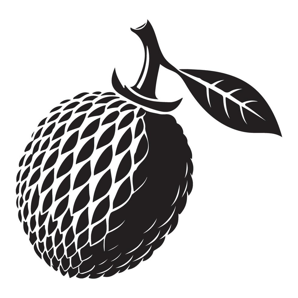 Detailed Rambutan Fruit Silhouette Illustration vector