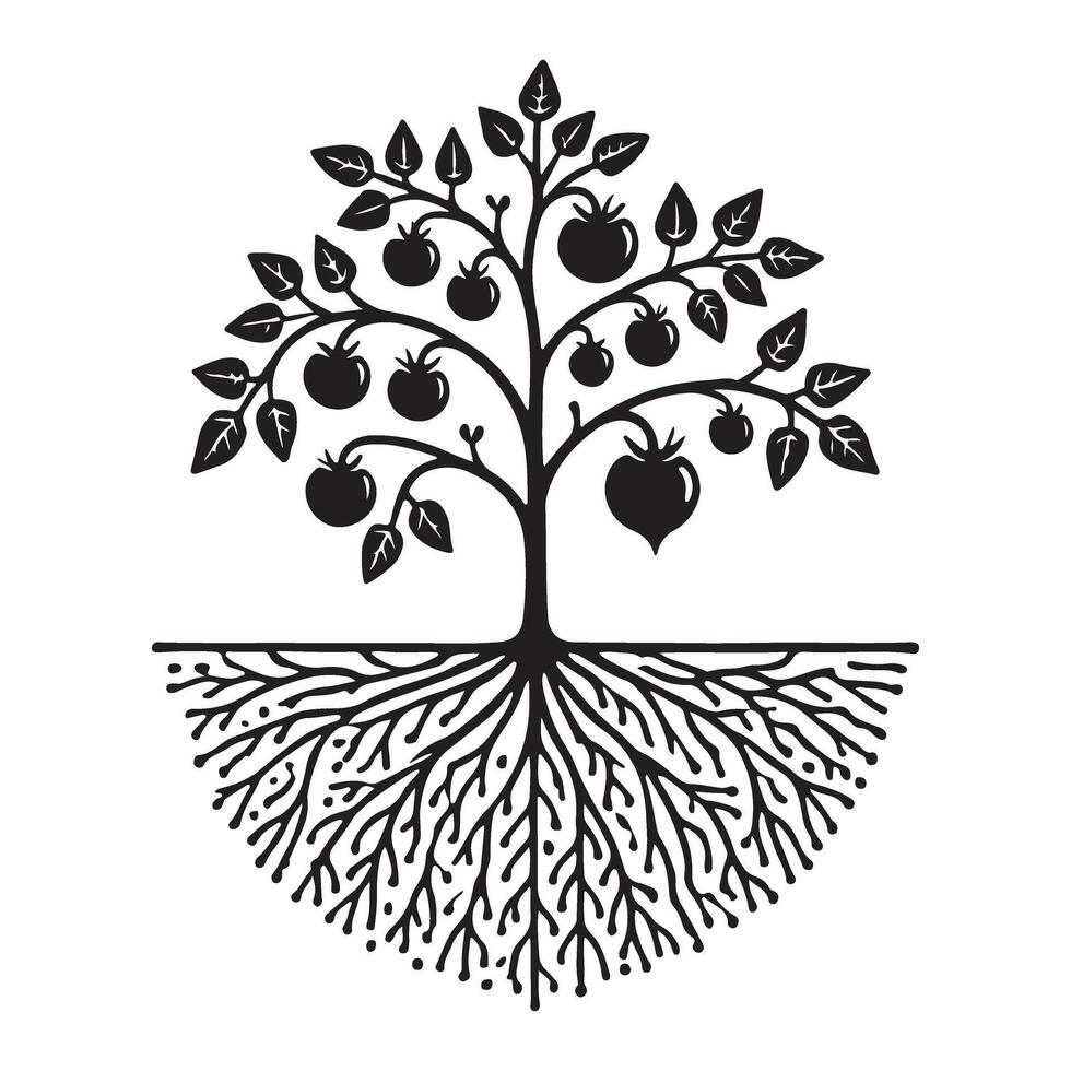 Tomato Tree with Roots Silhouette Illustration for Farming vector