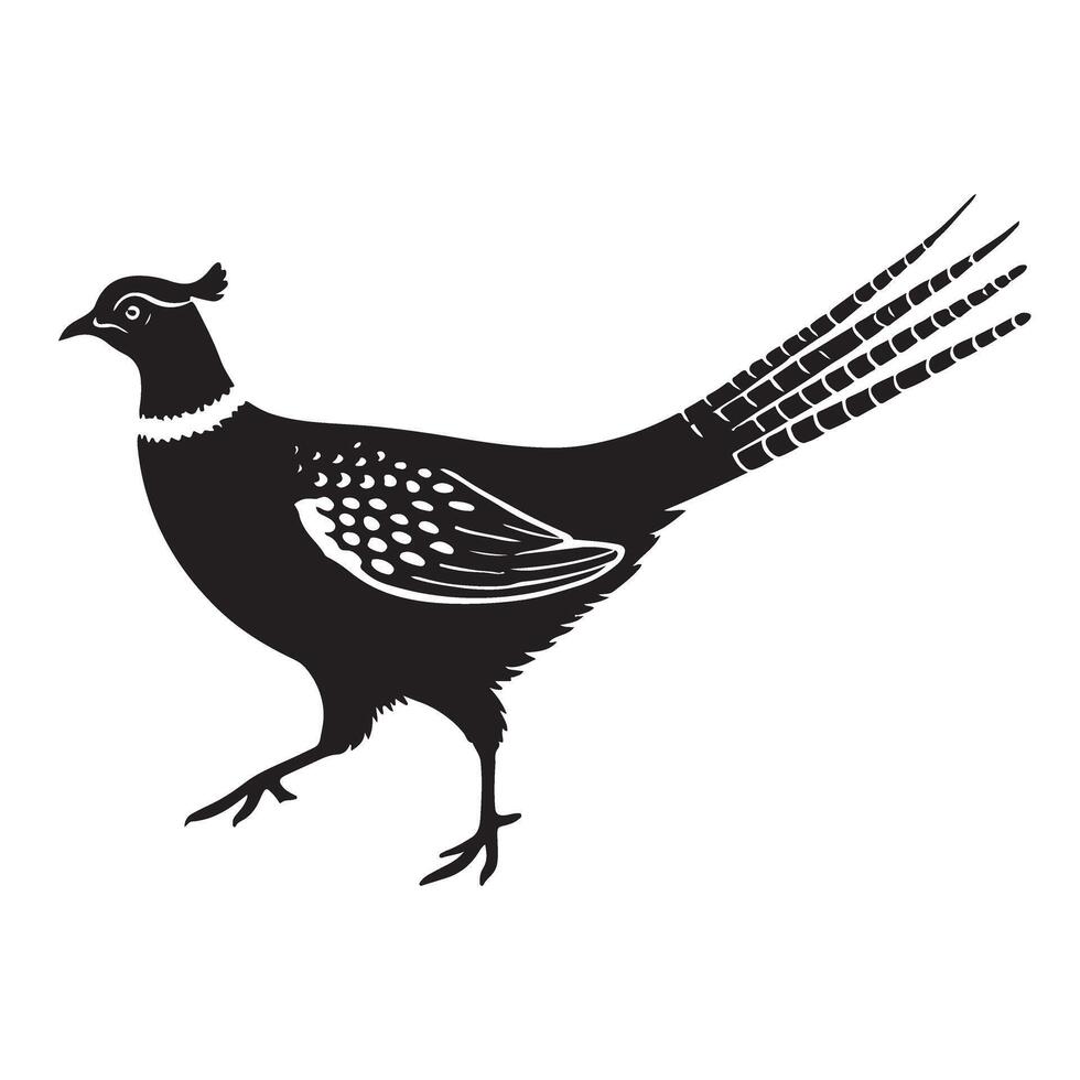 Silhouette of a Majestic Ring-Necked Pheasant vector