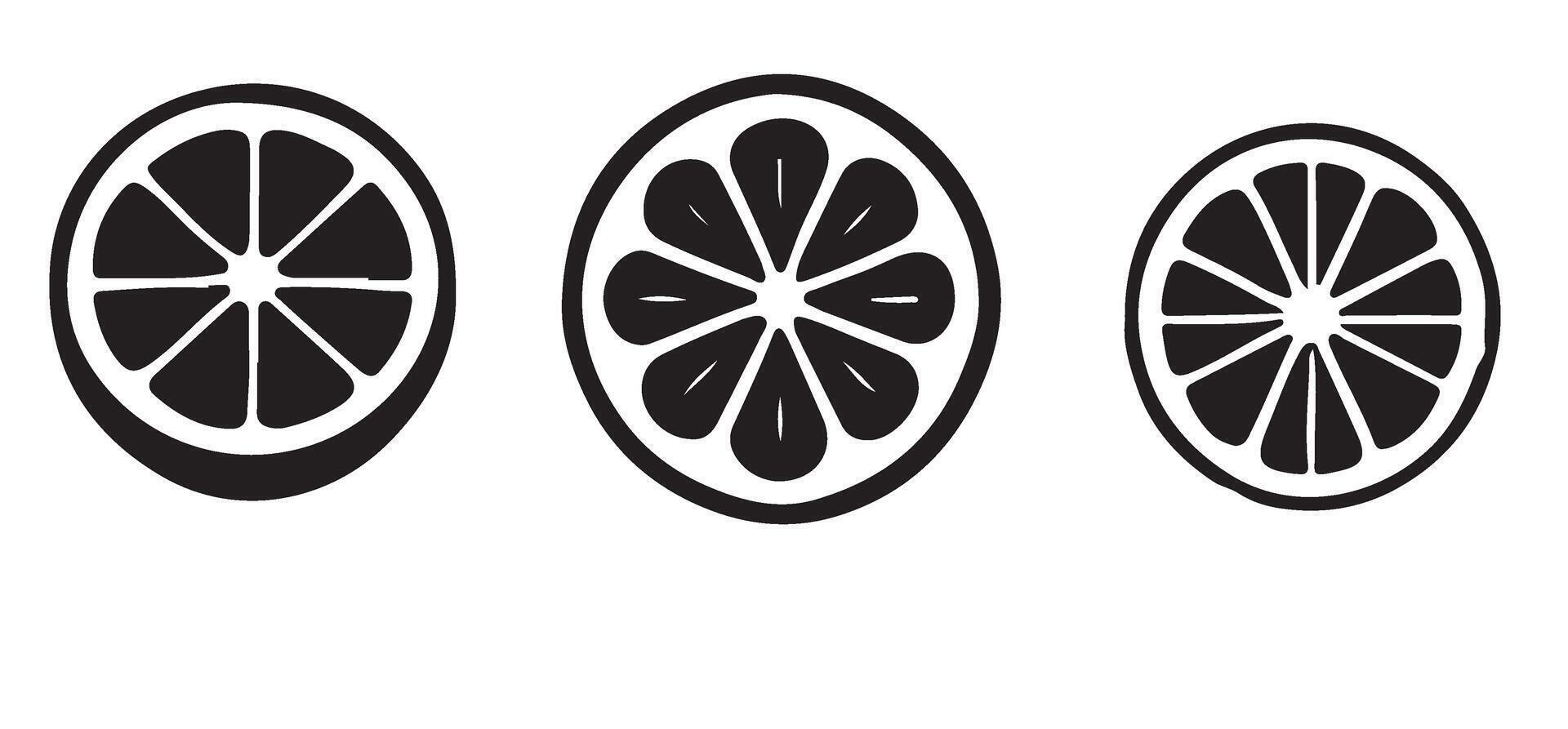Black and White Citrus Fruit Slices Illustration Set vector