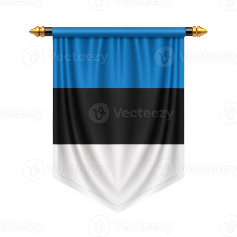 Estonia Flag Elegant banner isolated on transparent background png