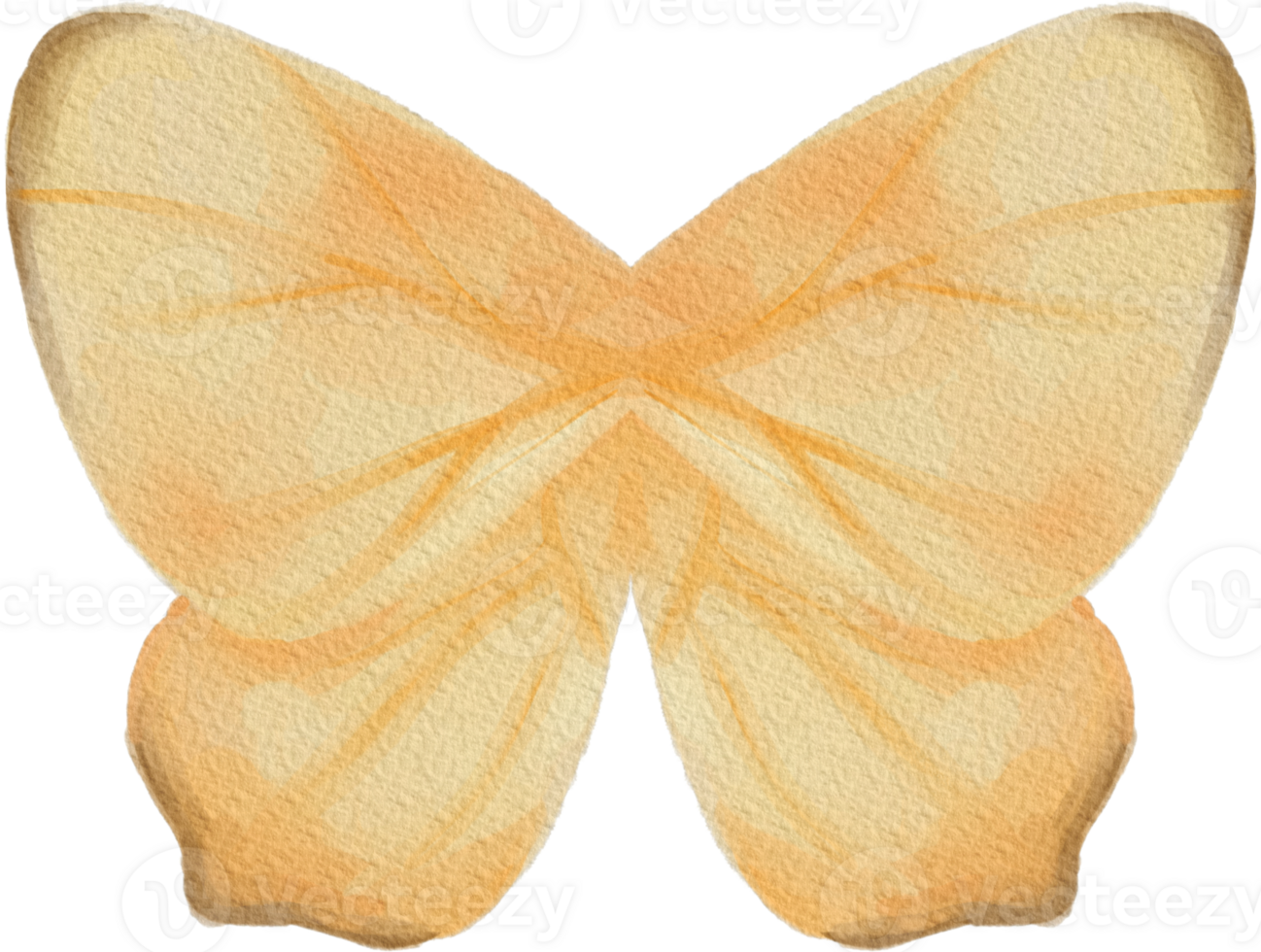 Dancing Wings of Color png
