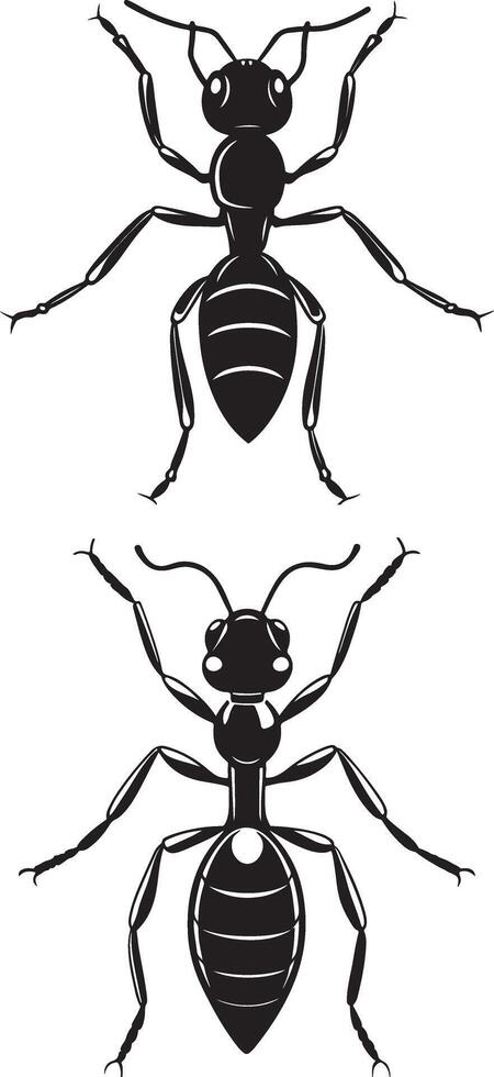 silhouette ant design vector
