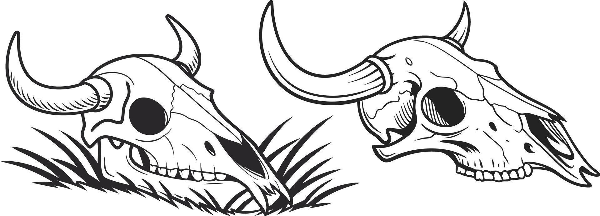 Illustration of Two Buffalo Skulls in Grass vector