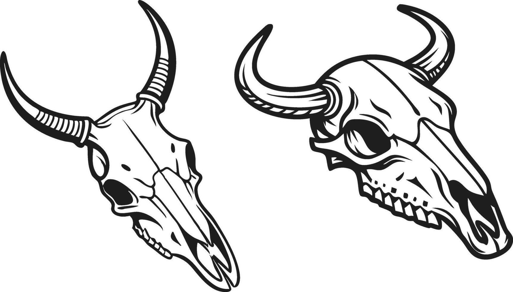 Illustration of Two Animal Skulls with Antlers vector
