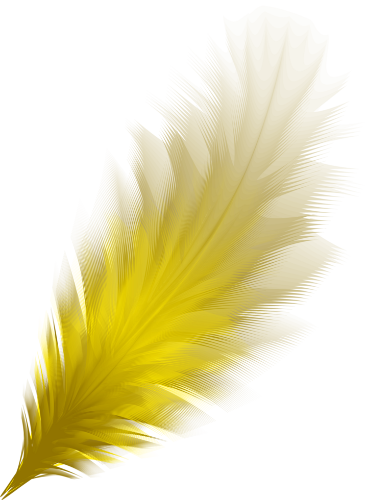 yellow feather for carnival and mardi gras decorations png