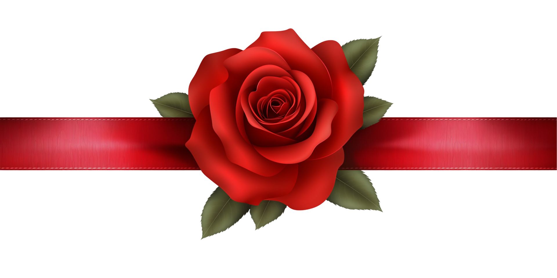 valentine element red rose with ribbon on transparent background png