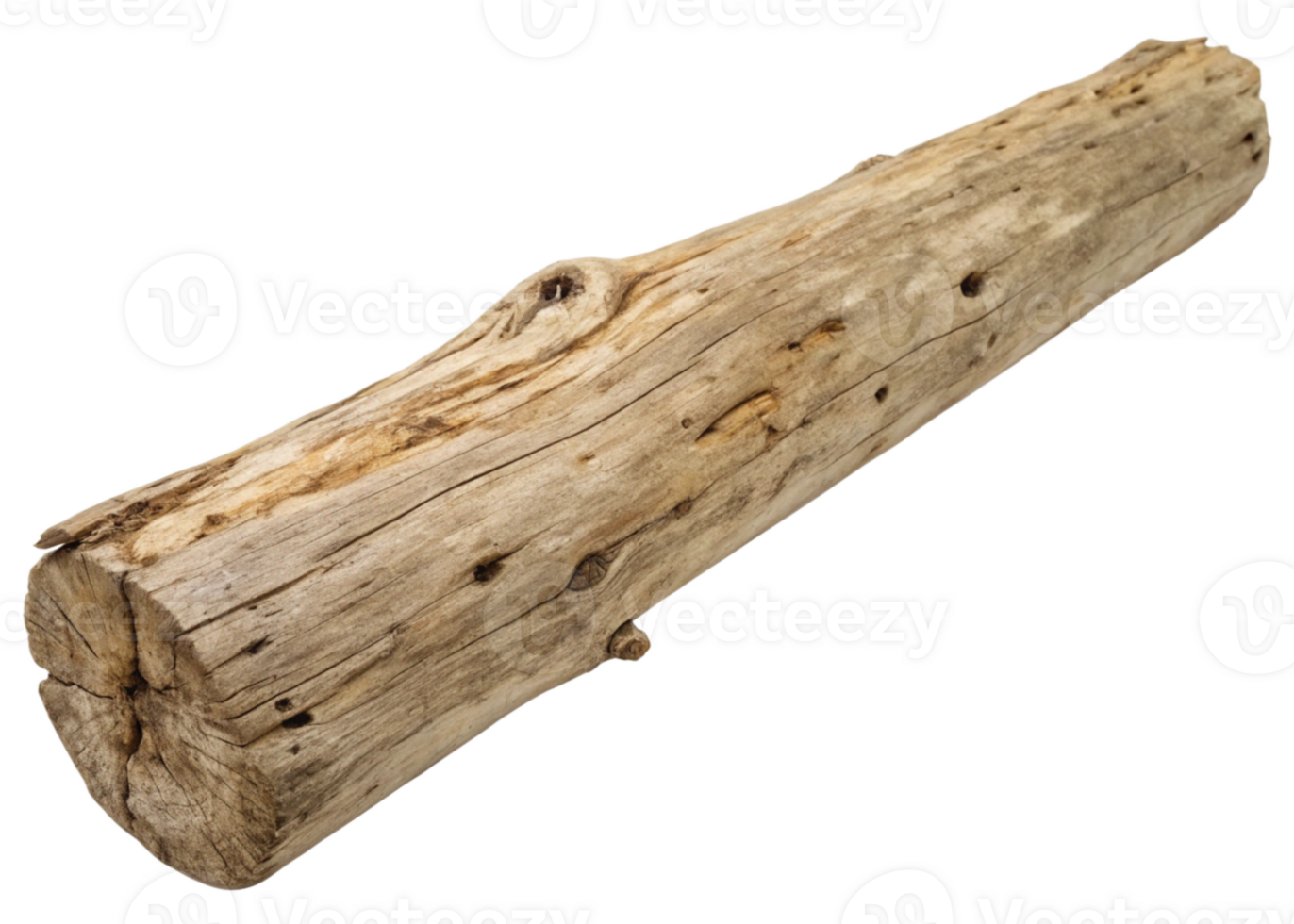 Distinctively Shaped Wooden Log with Beautiful Grain and Natural Imperfections Ideal for Rustic Crafts and Environmental Design Emphasizing Natural Beauty png