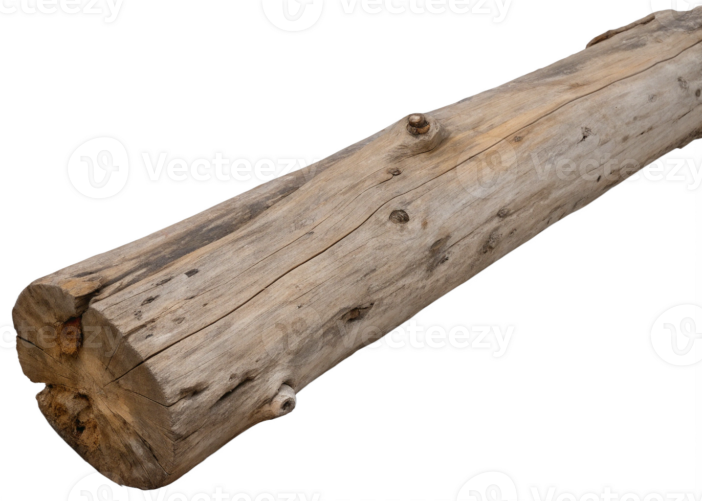Natural Textured Wooden Log Displaying Unique Grain Patterns and Character in a Rustic Setting Perfect for Nature Lovers and Outdoor Decor Ideas png