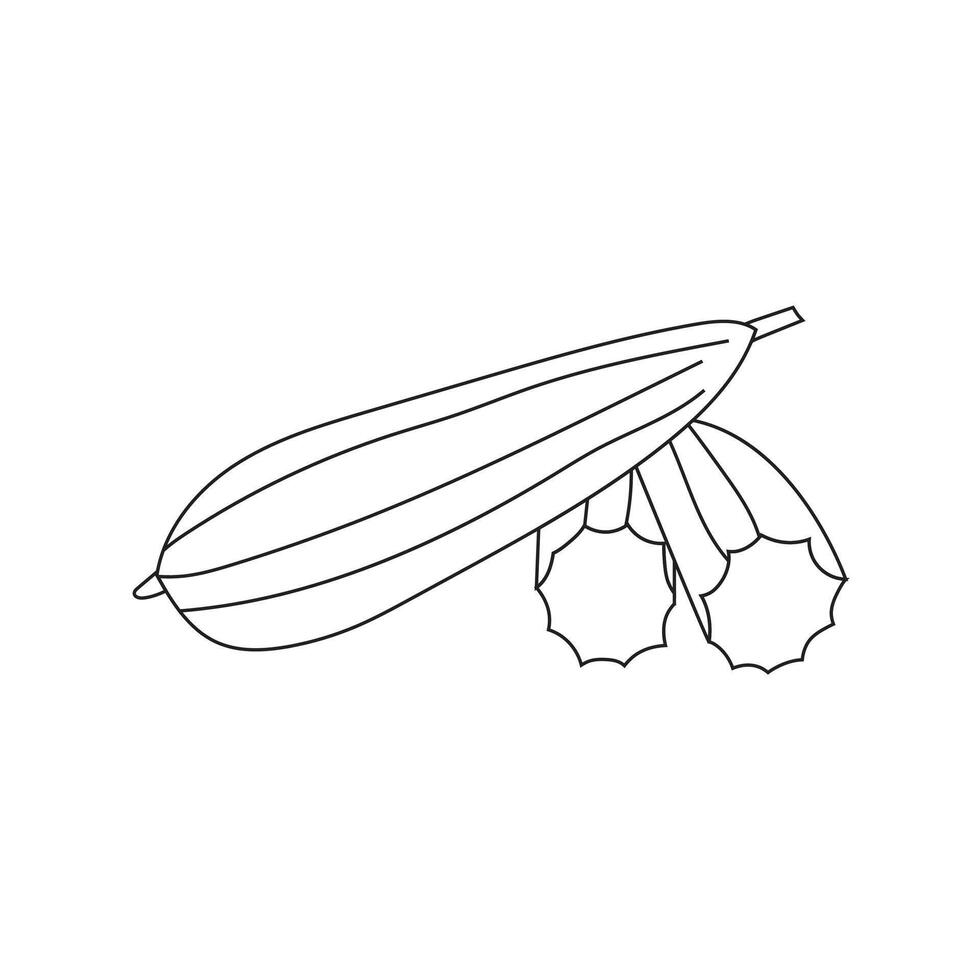 Illustration luffa line stroke unique vector