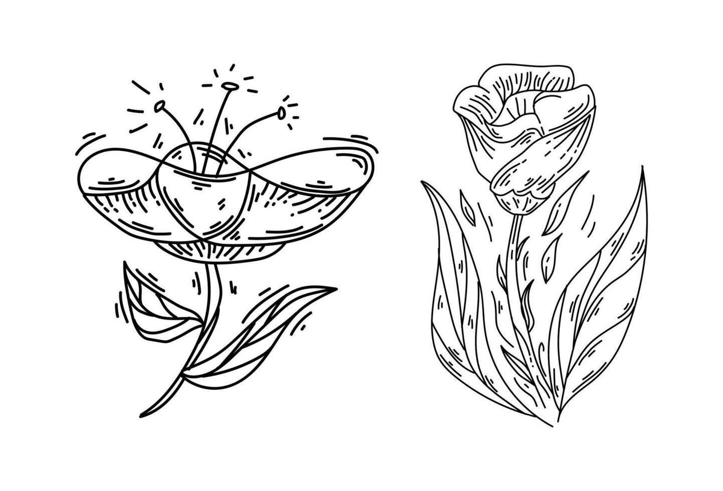 Set of flower nature ornament on white background vector