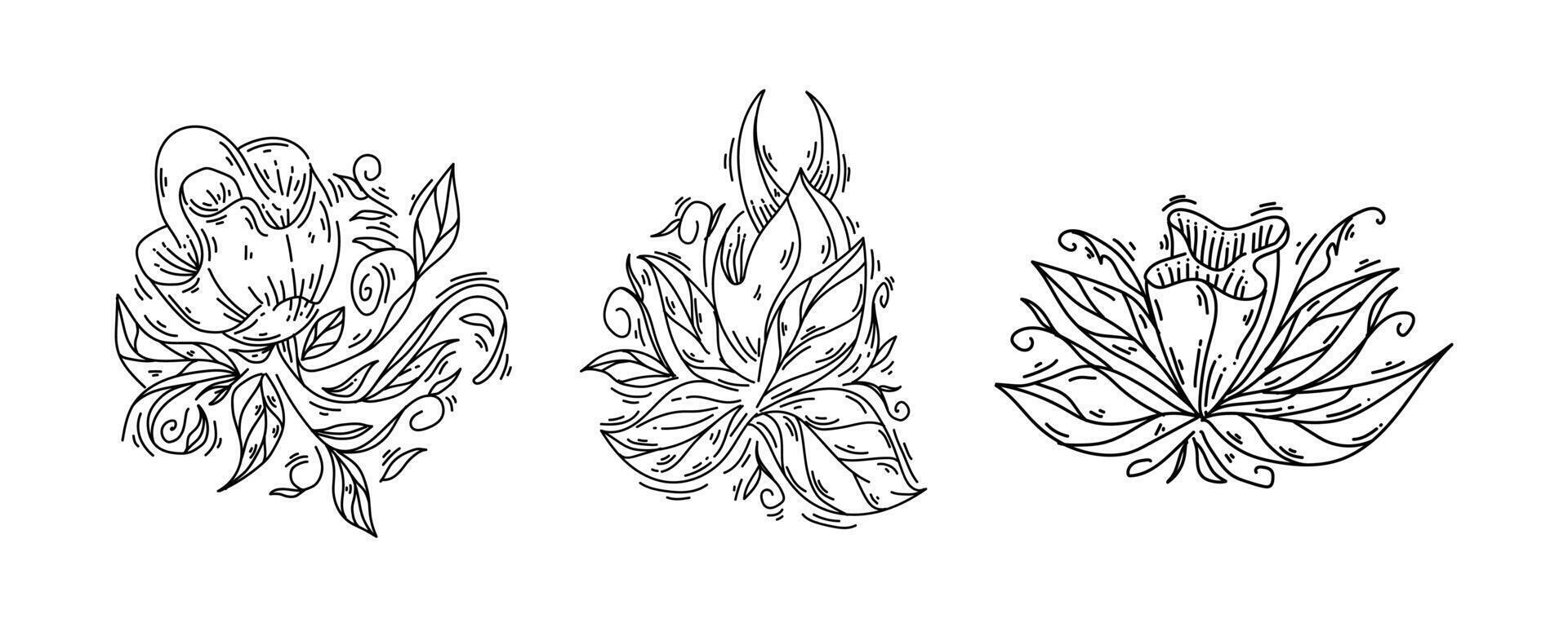 Set of flower nature ornament black outline sketch vector