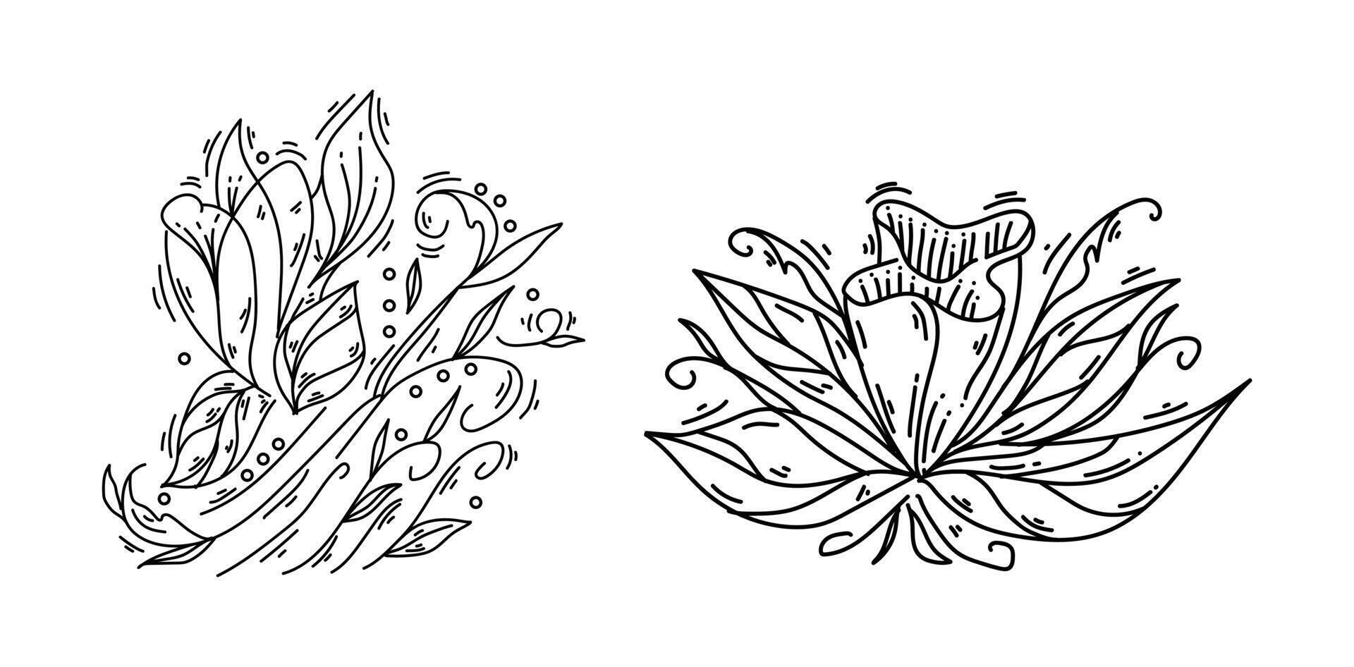 Set of flower nature ornament black outline sketch on white background vector