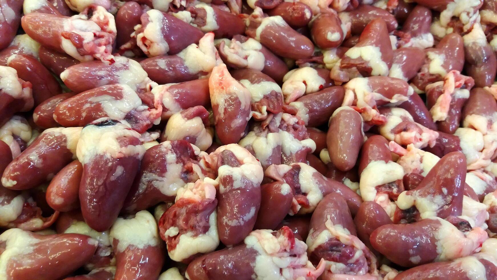 Many fresh chicken hearts or animal organs for cooking food or for sale at freshness market. Uncooked food photo