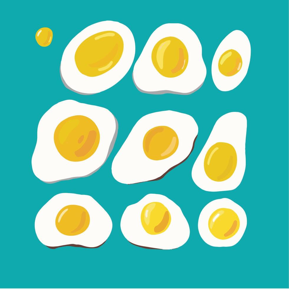 delicious fried eggs vector