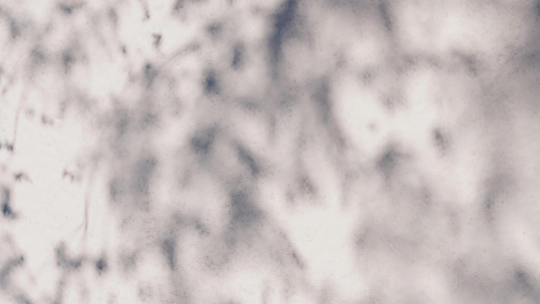 the shadow wall texture sunlight leaf shade abstract 3d render. shadows light nature plant leaves branch tree foliage design backdrop. wallpaper mockup background white effect minimal natural. photo