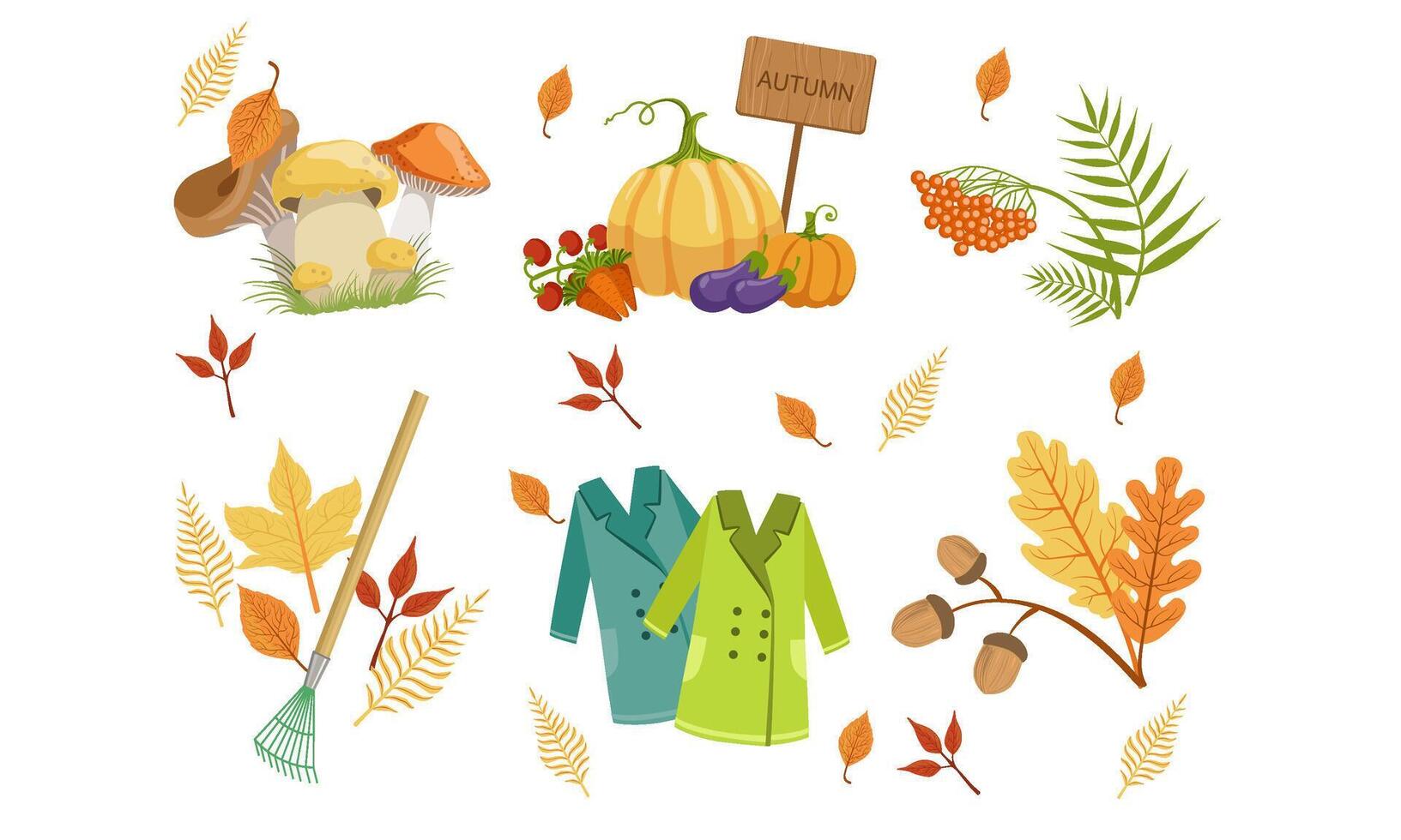 Autumn Season Objects Collection, Autumnal Design Elements, Mushrooms, Vegetables, Mountain Ash Leaves, Rake, Raincoats Illustration vector