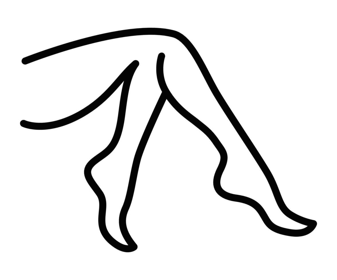 A woman's legs are shown in a line drawing vector