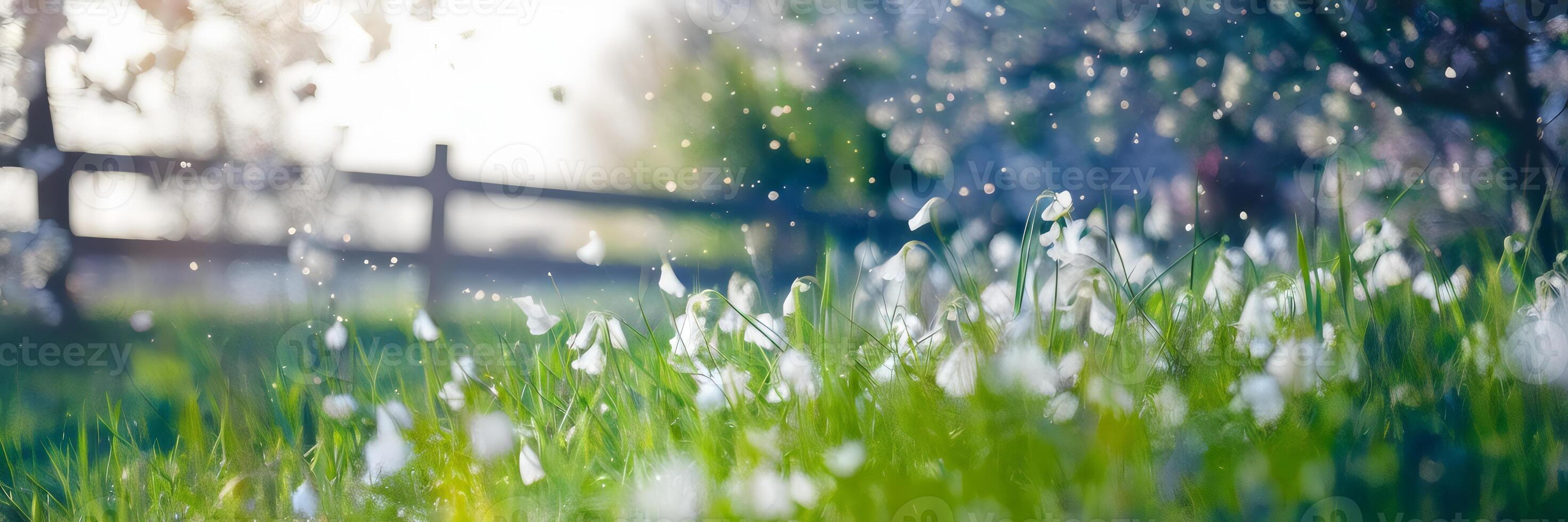 Dreamy spring background with blooming flowers and glowing sunlight photo
