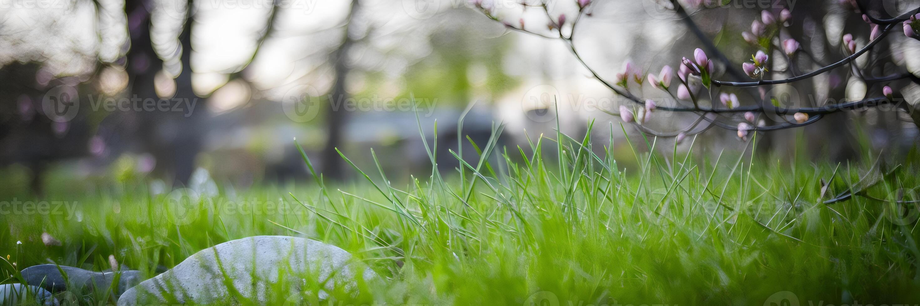 Blurred spring scene with green grass and budding trees photo