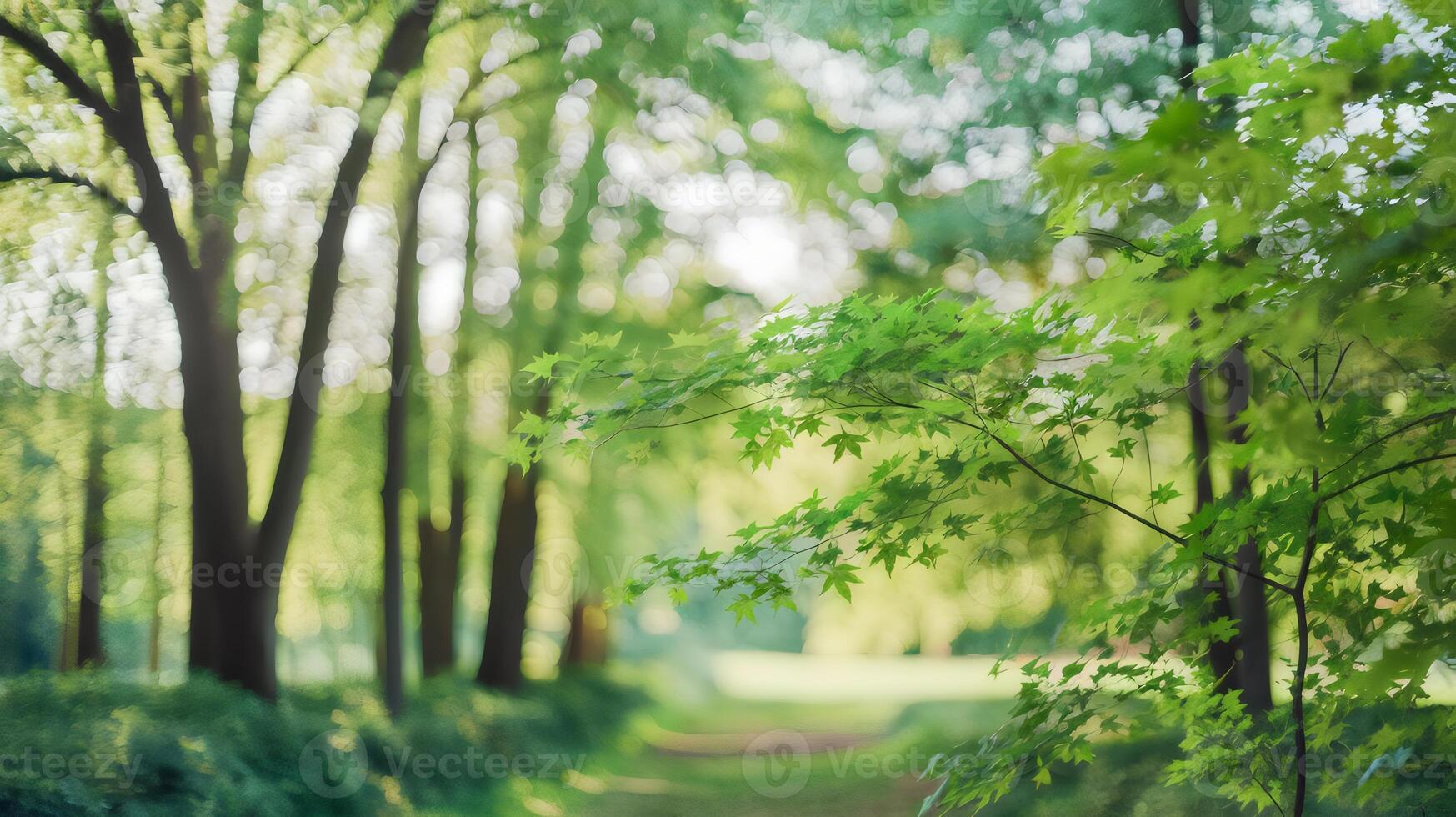 Sunny forest with blurred trees and soft light diffusion photo