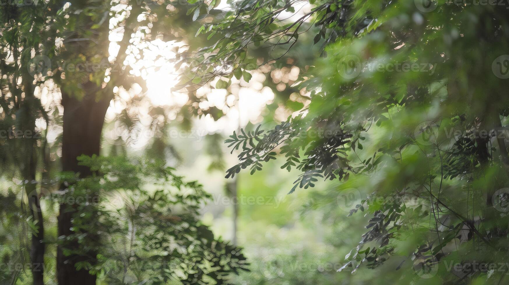 Soft-focus forest scene with sunlight filtering through green foliage photo