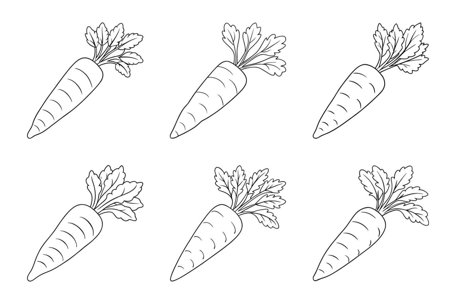 A drawing of a carrot with leaves vector