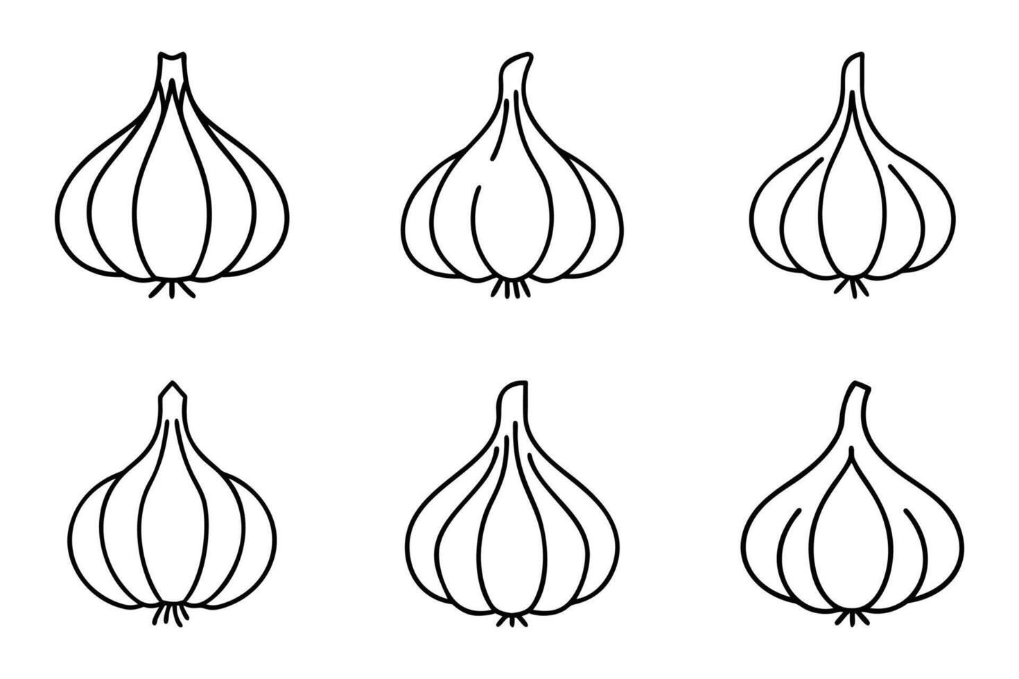 A set of four garlic bulbs on a white background vector