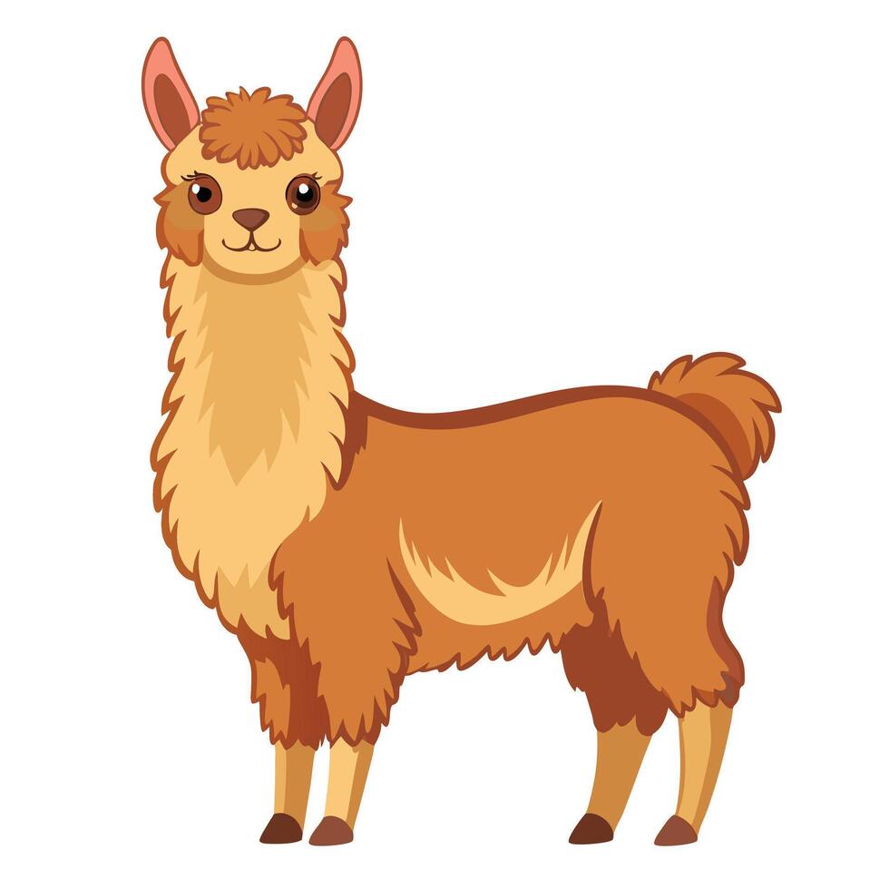 An alpaca standing on white background vector