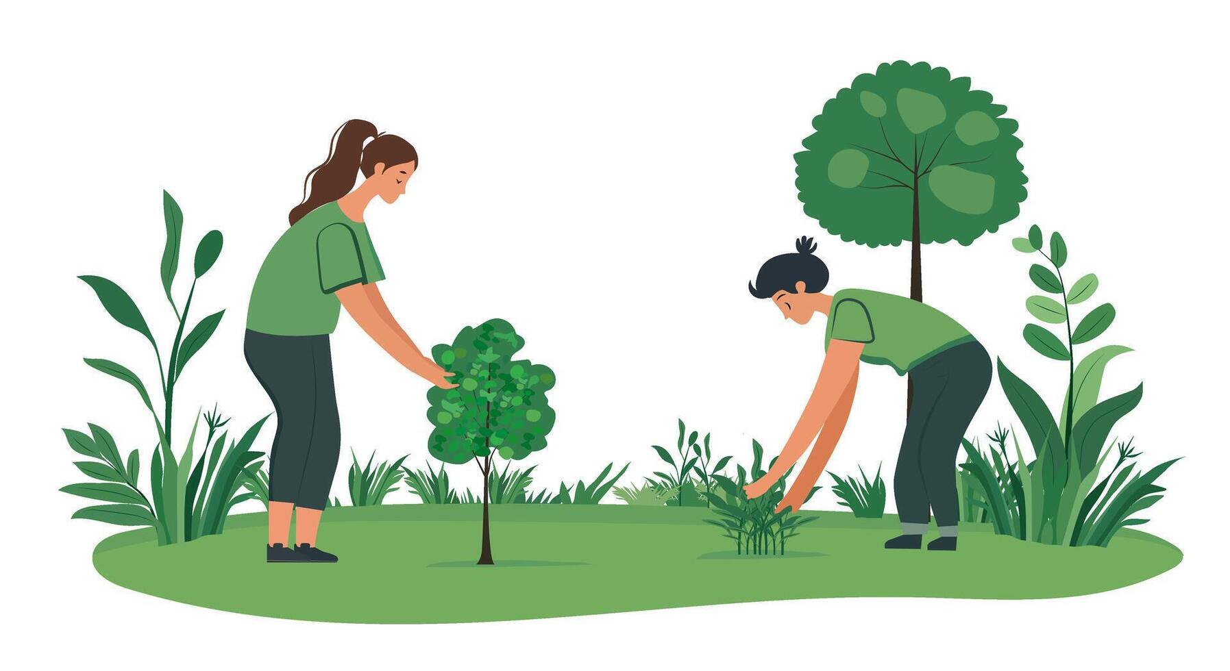 Two people planting a small tree in nature vector